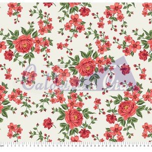 Caroline cor 01 (Bege) 